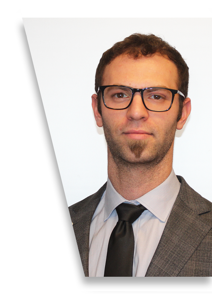 ARI D. GOLDSTEIN